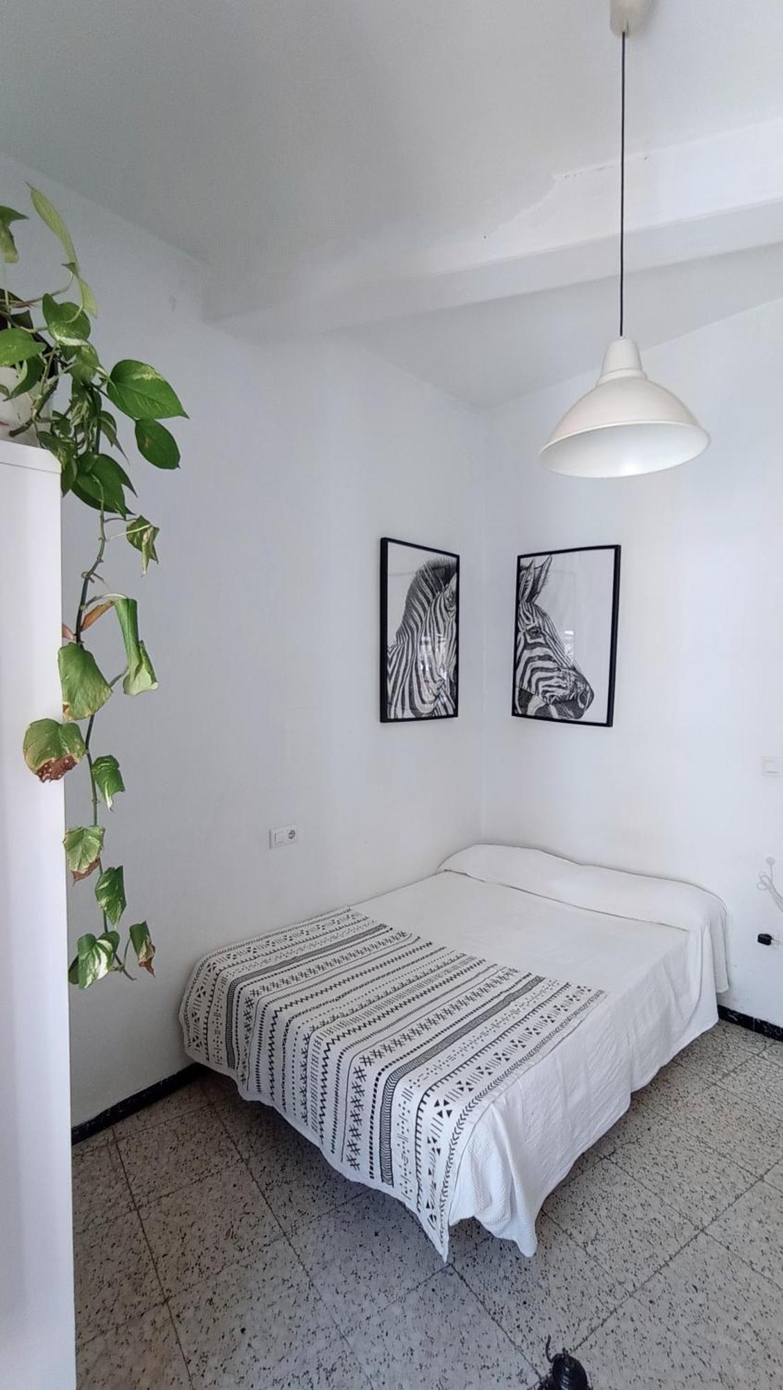 Preciosa Habitacion En Pleno Centro De Sevilla Ideal Para Hacer Turismo Y Vivir La Ciudad ภายนอก รูปภาพ